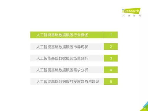 中國(guó)人工智能基礎(chǔ)數(shù)據(jù)服務(wù)與行業(yè)應(yīng)用系統(tǒng)集成服務(wù)市場(chǎng)報(bào)告 雙輪驅(qū)動(dòng)下的產(chǎn)業(yè)智能化進(jìn)程