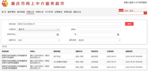 三峽水利子公司擬參與一家陜西鋰電池正極材料企業(yè)A輪融資