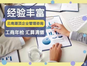 代理記賬 財(cái)稅服務(wù) 注冊(cè)公司提供地址 公司變更 內(nèi)資公司注冊(cè) 注銷公司