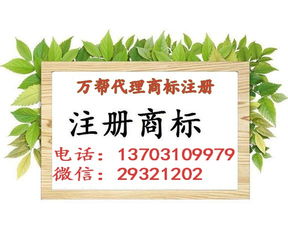 邯鄲公司注冊 邯鄲代理記賬 邯鄲商標注冊 一站式企業服務平臺